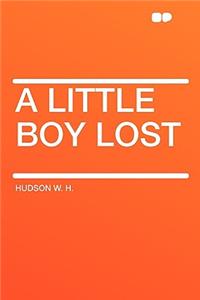 A Little Boy Lost