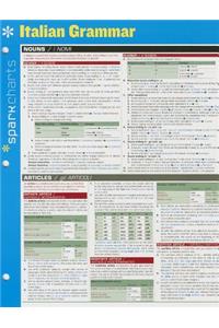 Italian Grammar SparkCharts