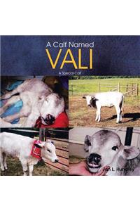 Calf Named Vali