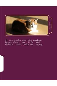 My cat socks and his snakes