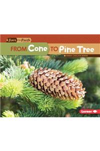 From Cone to Pine Tree