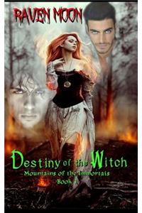 Destiny of the Witch
