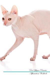 Don Sphynx Affirmations Workbook Don Sphynx Presents