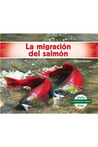 La Migración del Salmón (Salmon Migration) (Spanish Version)