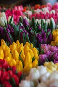 Bunches of Colorful Tulips Flower Journal
