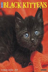 Just Black Kittens 2020 Wall Calendar