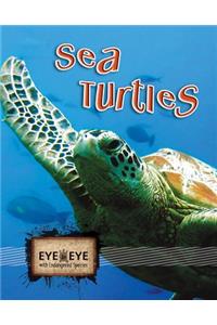 Sea Turtles