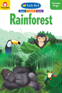 Early Bird Rainforest