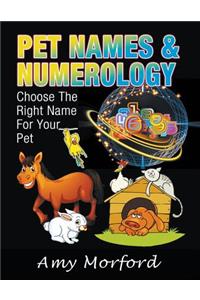 Pet Names & Numerology