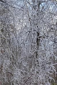 2020 Daily Planner Winter Scenic Forest Ice Storm 388 Pages