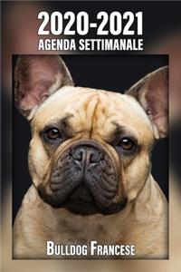 2020-2021 Agenda Settimanale Bulldog Francese