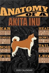 Anatomy Of A Akita Inu