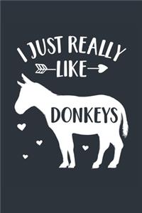 I Just Really Like Donkeys Notebook - Donkey Gift for Donkey Lovers - Donkey Journal - Donkey Diary