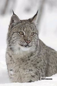 Lynx Notebook