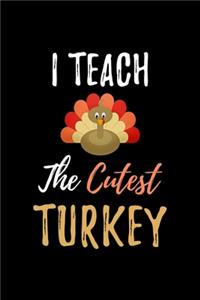 I Teach The Cutest Turkey