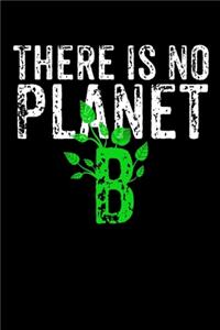 There is no Planet B