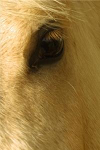 2020 Weekly Planner Horse Photo Equine White Horse Closeup 134 Pages