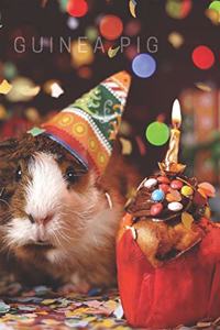 Guinea Pig