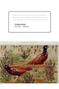 Pheasant Notebook Composition College Ruled Glossy Cover (7.44 X 9.69) 200 Pages