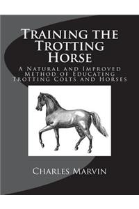 Training the Trotting Horse