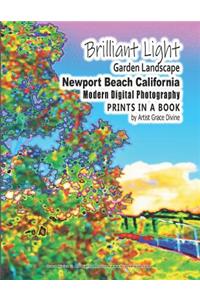 Brilliant Light Garden Landscape Newport Beach California Modern Digital Photography PRINTS IN A BOOK by Artist Grace Divine