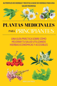Plantas medicinales para principiantes