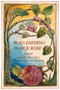 Rosa Enferma / The Sick Rose