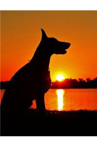 Doberman Sunset Notebook