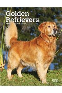 Golden Retrievers 2020 Diary