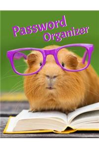 Password Organizer