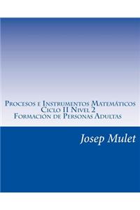 Procesos E Instrumentos Matemáticos Ciclo 2 Nivel II