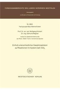Einfluß unterschiedlicher Gasatmosphären auf Reaktionen im System CaO-SiO2