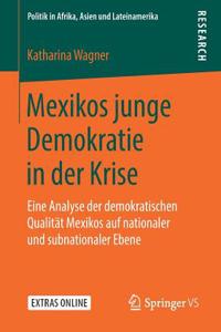 Mexikos Junge Demokratie in Der Krise