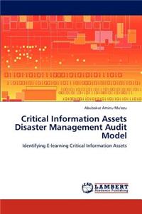 Critical Information Assets Disaster Management Audit Model