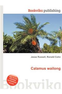 Calamus Wailong
