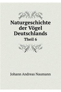 Naturgeschichte Der Vögel Deutschlands Theil 6