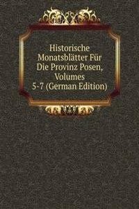 Historische Monatsblatter Fur Die Provinz Posen, Volumes 5-7 (German Edition)