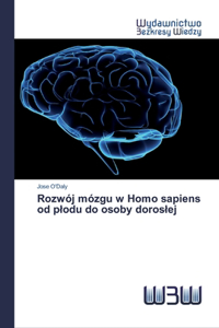 Rozwój mózgu w Homo sapiens od plodu do osoby doroslej