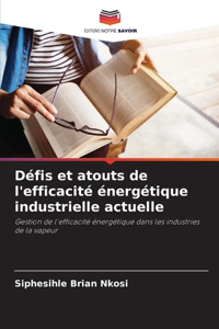 Défis et atouts de l'efficacité énergétique industrielle actuelle