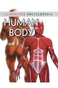 Human Body