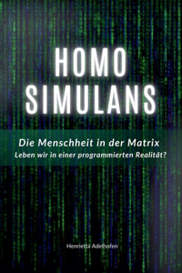 Homo Simulans