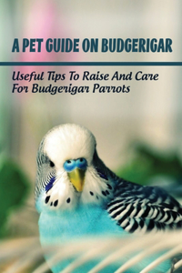 Pet Guide On Budgerigar