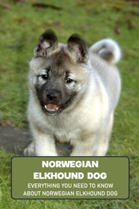 Norwegian Elkhound Dog