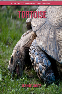 Tortoise