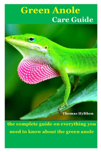 Green Anole Care Guide