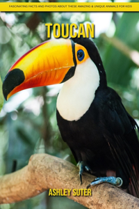 Toucan