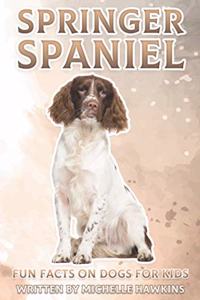 Springer Spaniel