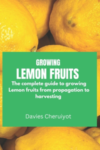 Growing Lemon Fruits