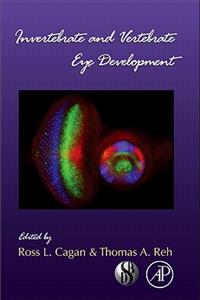 Invertebrate and Vertebrate Eye Development