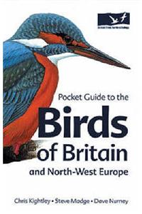 Pocket Guide to the Birds of Britain and North-West Europe